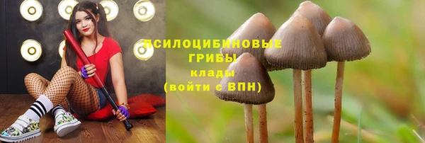 марки nbome Балабаново