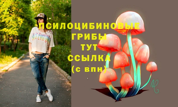 гидра Балахна