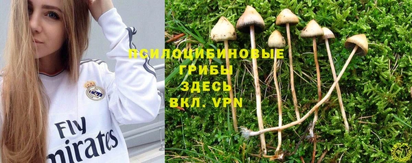 мдпв Баксан
